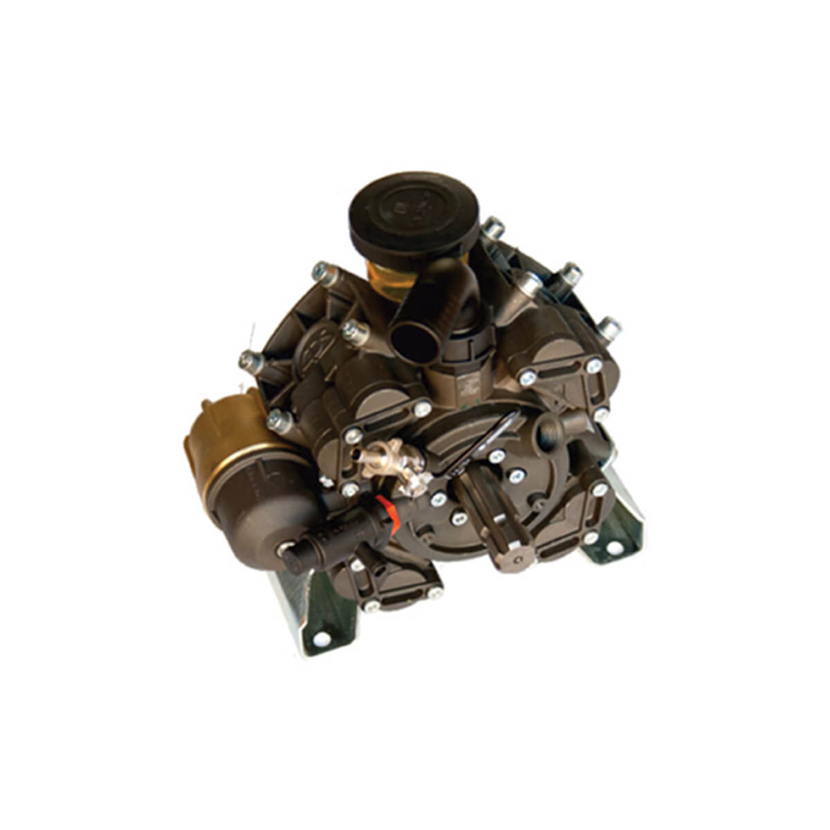 ANK-001 789